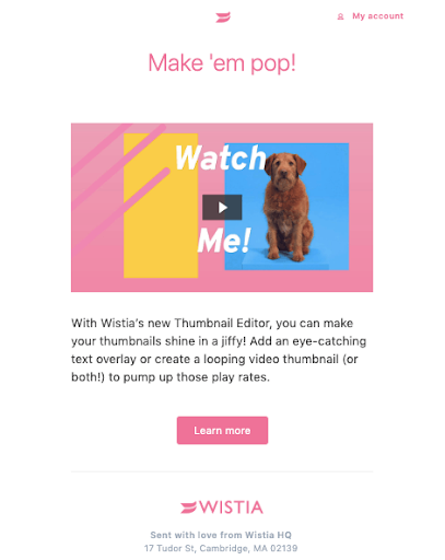 email from Wistia
